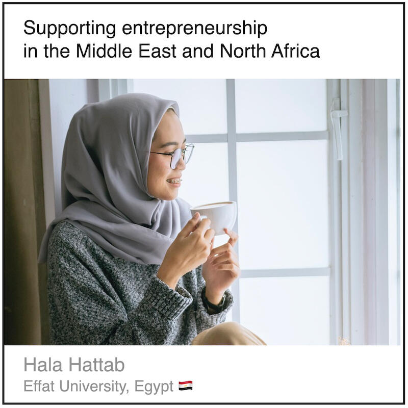 Download PDF: Supporting entrepreneurship in the Middle East and North Africa by Hala Hattab (Effat University, Egypt).